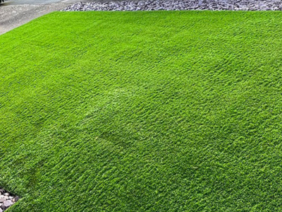 Artificial Turf