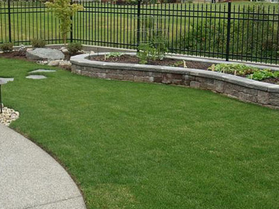 Lawn Care