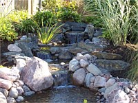 Water Features