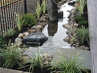 Water Features